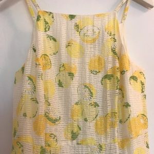 Ann Taylor Citrus Dress